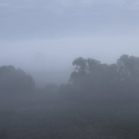 ....... :: Вадим Виловатый