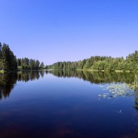Тихое утро на озере :: Евгений 