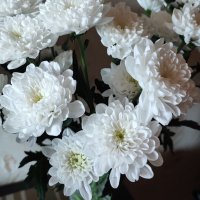 ,,, :: Сергей Тимоновский