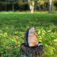 Хорошее настроение :: Александр Сансар