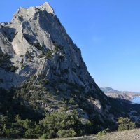 Природа Крыма :: Amazing Cosmea