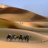 Дюны-барханы :: Виталий Авакян