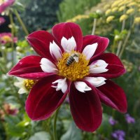 ... :: Галина ... :: Галина