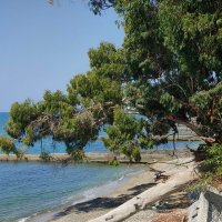 Новый Афон :: Ирэн 