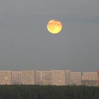 Луна над городом :: Сергей Михальченко