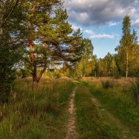 Осень она не спросит 3 :: Андрей Дворников