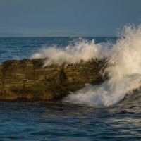 ... :: Жора Житников