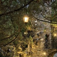 Вечерний парк :: Татьяна Михайлова