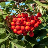 Сентябрь... :: Aquarius - Сергей