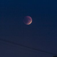 Лунное затмение 2025г. :: Алексей Булак