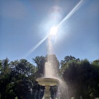 Фонтан :: Сапсан 