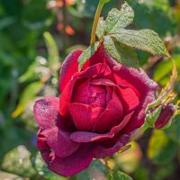 Ранним утром... :: Александр Филатов