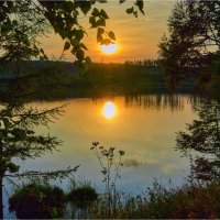 **** :: Алексей Мезенцев