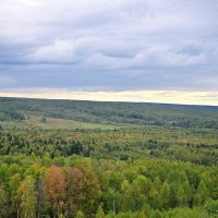 - :: Владимир Мигонькин