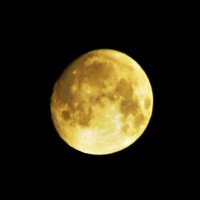 Почти полнолуние :: Людмила Смородинская Почти полнолуние :: Людмила Смородинская