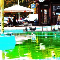 Голуби :: Юрий Гайворонскiий Голуби :: Юрий Гайворонскiий