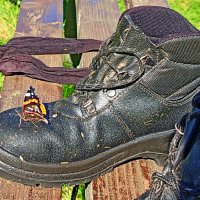 Бабочка и башмак... :: Vladimir Semenchukov Бабочка и башмак... :: Vladimir Semenchukov