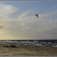 *** :: Aleksandr Gal