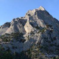 Природа Крыма :: Amazing Cosmea