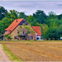 СЕЛЬСКИЙ МОТИВ... :: Elvira E. 