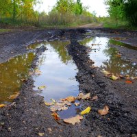 Сентябрьские мотивы... :: Андрей Заломленков
