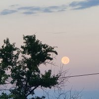 Утро в Новом Афоне :: Ирэн 