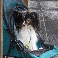 *** :: Александр 