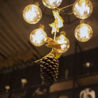 Шишка :: Zif K.