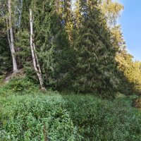 Волчий овраг / Река Молокча :: Денис Бочкарёв