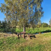 Уютное место на реке Молокча :: Денис Бочкарёв