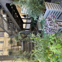 Кафе Шато - Терра.(СПб) :: Alexey YakovLev Кафе Шато - Терра.(СПб) :: Alexey YakovLev