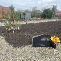 Сквер памяти бойцов СВО. :: Alexey YakovLev