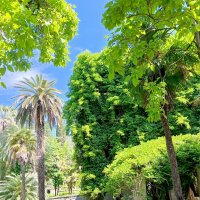 Природа Абхазии :: Татьяна Пальчикова