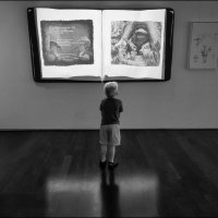 Книга :: **** vedin Книга :: **** vedin