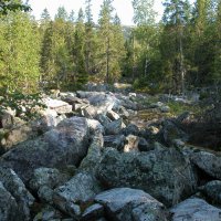 Курумник :: Наталья Лунева 