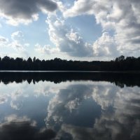 Природный авангард... :: Владимир Павлов