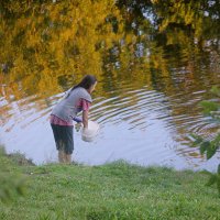 Кормим уток :: Сергей Кочнев