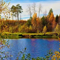 Сентябрь...Лесное озерцо! :: Владимир 