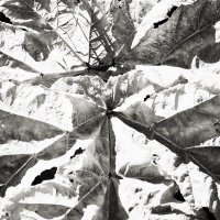 ... :: Денис Безногов