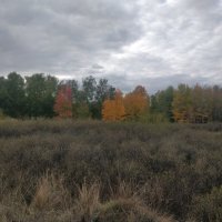 Сентябрьские акварели. :: Андрей Хлопонин