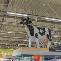 Кормилица :) :: Валерий Иванович