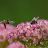 Последние теплые деньки.... :: Sergey (Apg) Последние теплые деньки.... :: Sergey (Apg)