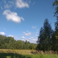 тихий день :: Галина Флора тихий день :: Галина Флора