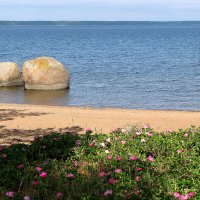 Финский залив :: Александр Ильчевский Финский залив :: Александр Ильчевский