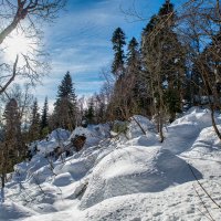 Зимний новогодний лес на Яворовой поляне в Адыгеи. :: Дина Евсеева