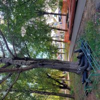 дабы трубы не разбежались :: Артём 