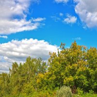 Осенний пейзаж (начало сентября) :: Светлана 