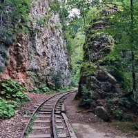 ГУАМСКОЕ УЩЕЛЬЕ :: Tata Wolf