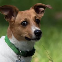 *** :: Владимир Безбородов *** :: Владимир Безбородов