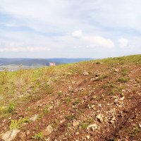 Титовская сопка. Вершина №2. :: Екатерина Панова